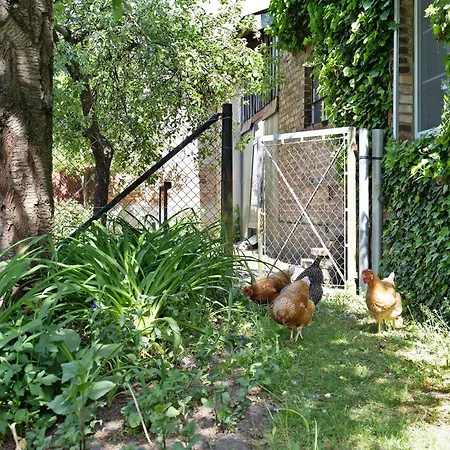 Unser Sonnenhof Reudnitz * Friedland (Brandenburg)