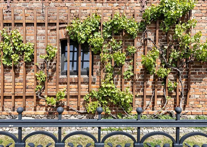 Unser Sonnenhof Reudnitz *