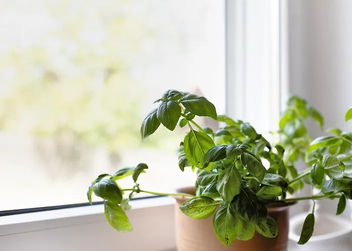 Unser Sonnenhof Reudnitz Friedland