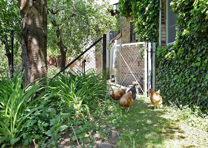 Unser Sonnenhof Reudnitz * Friedland